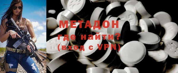 индика Ельня
