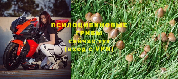 ECSTASY Балабаново