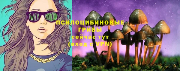 соль ск Балахна